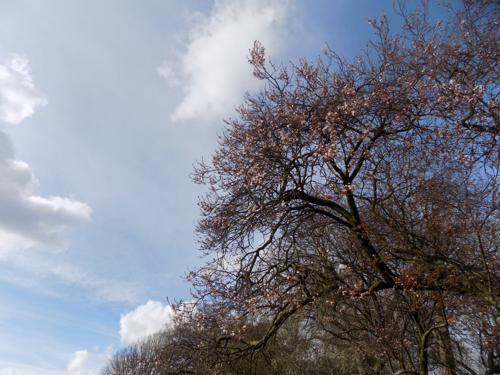 4 Things I’m Rubbish At Remembering To&nbsp;Do