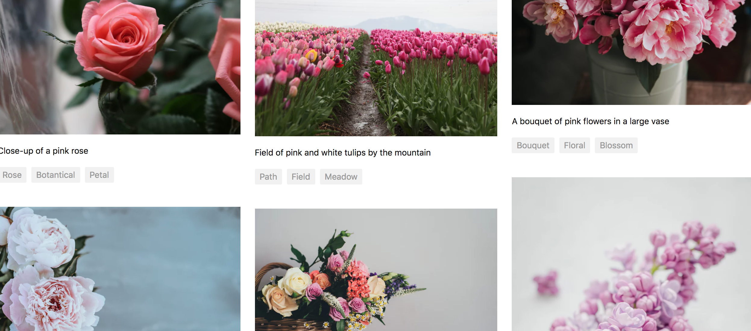 Screen Shot 2018-06-18 at 17.01.40