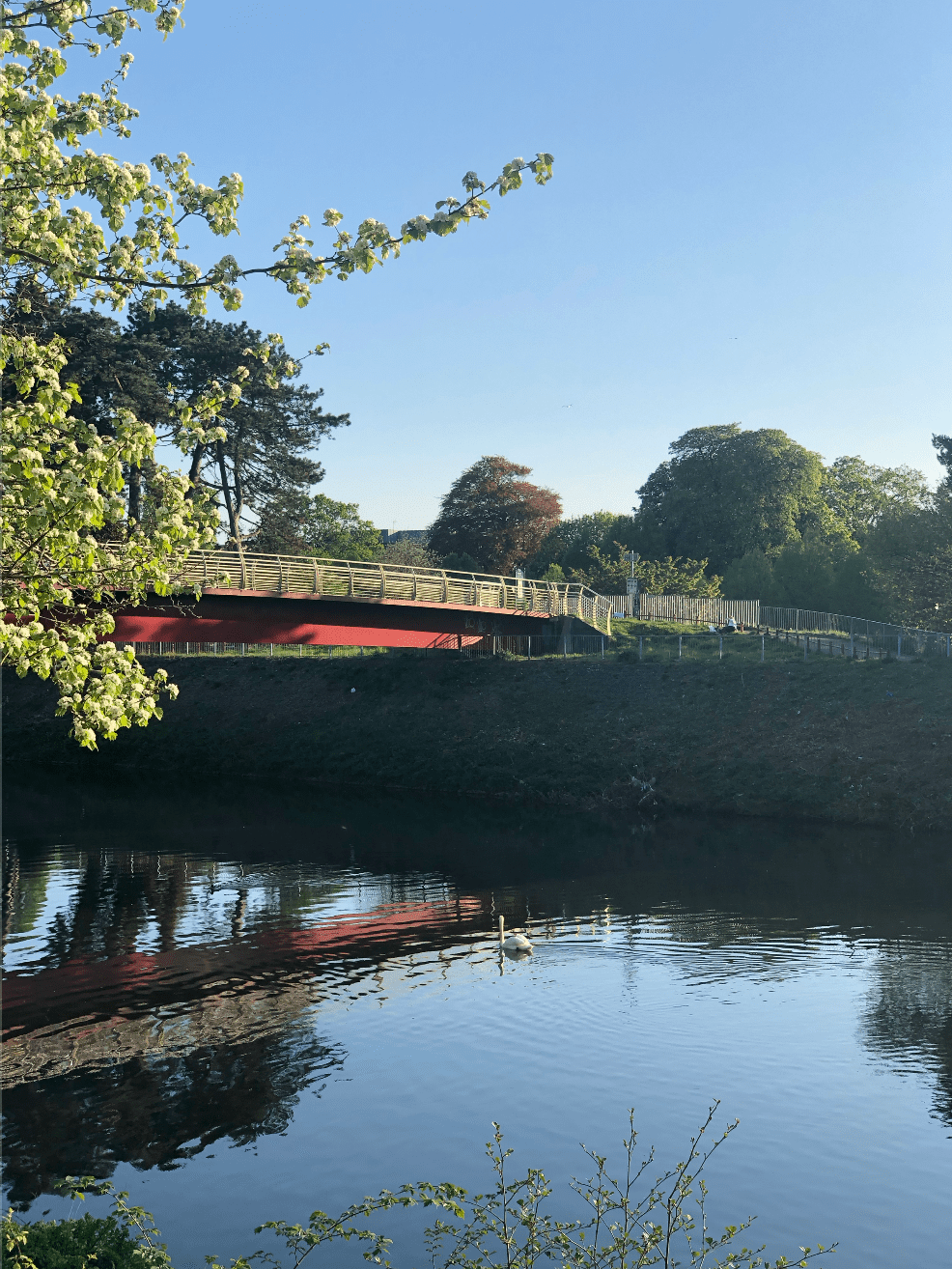 Screenshot 2019-05-28 at 12.57.05